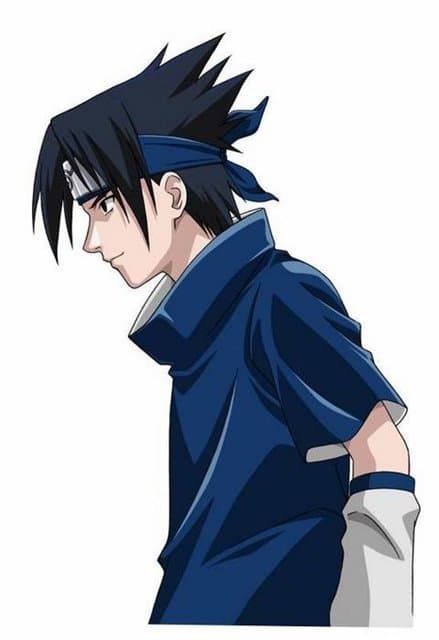 Saske 19