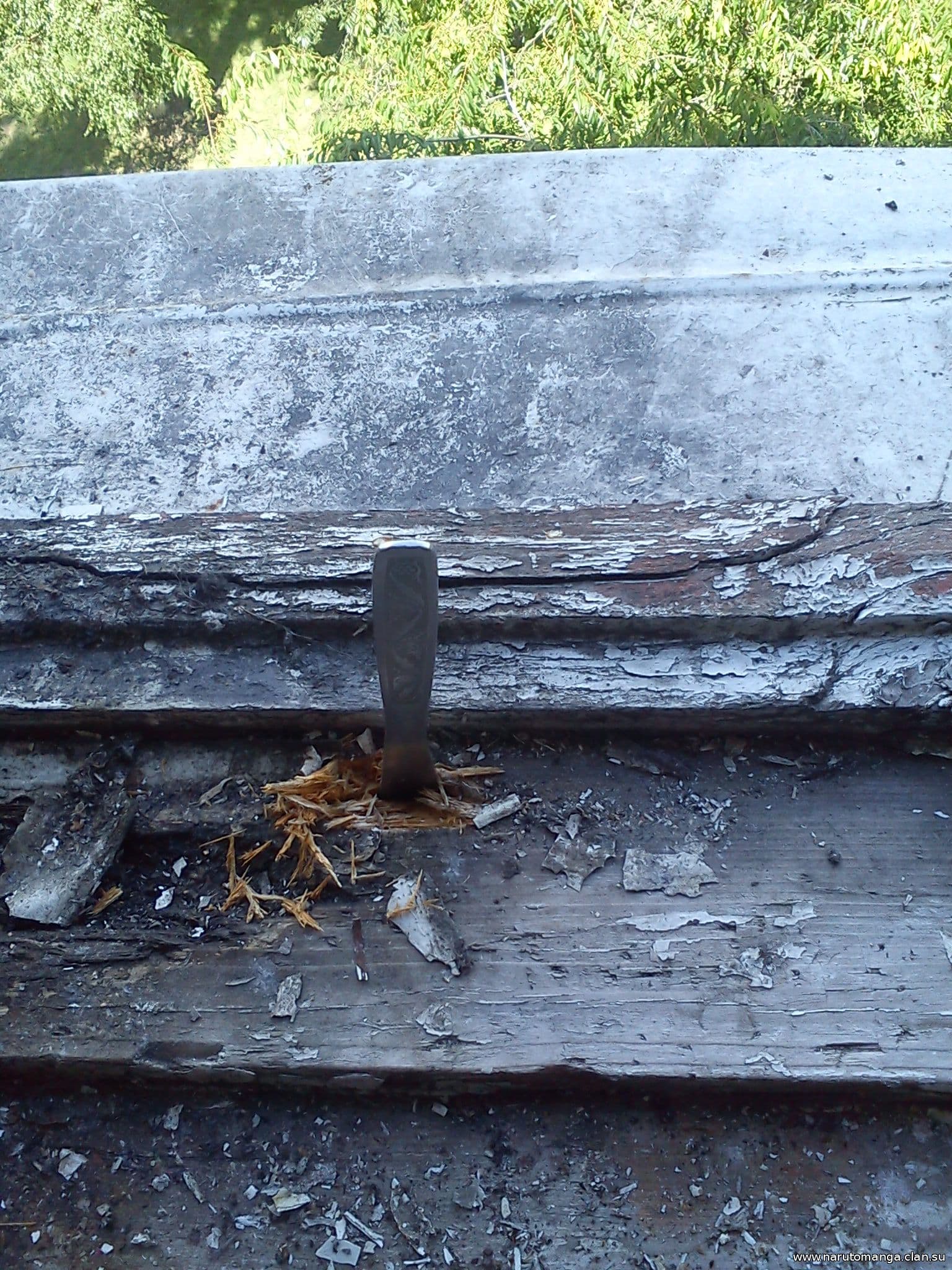 DSC00118